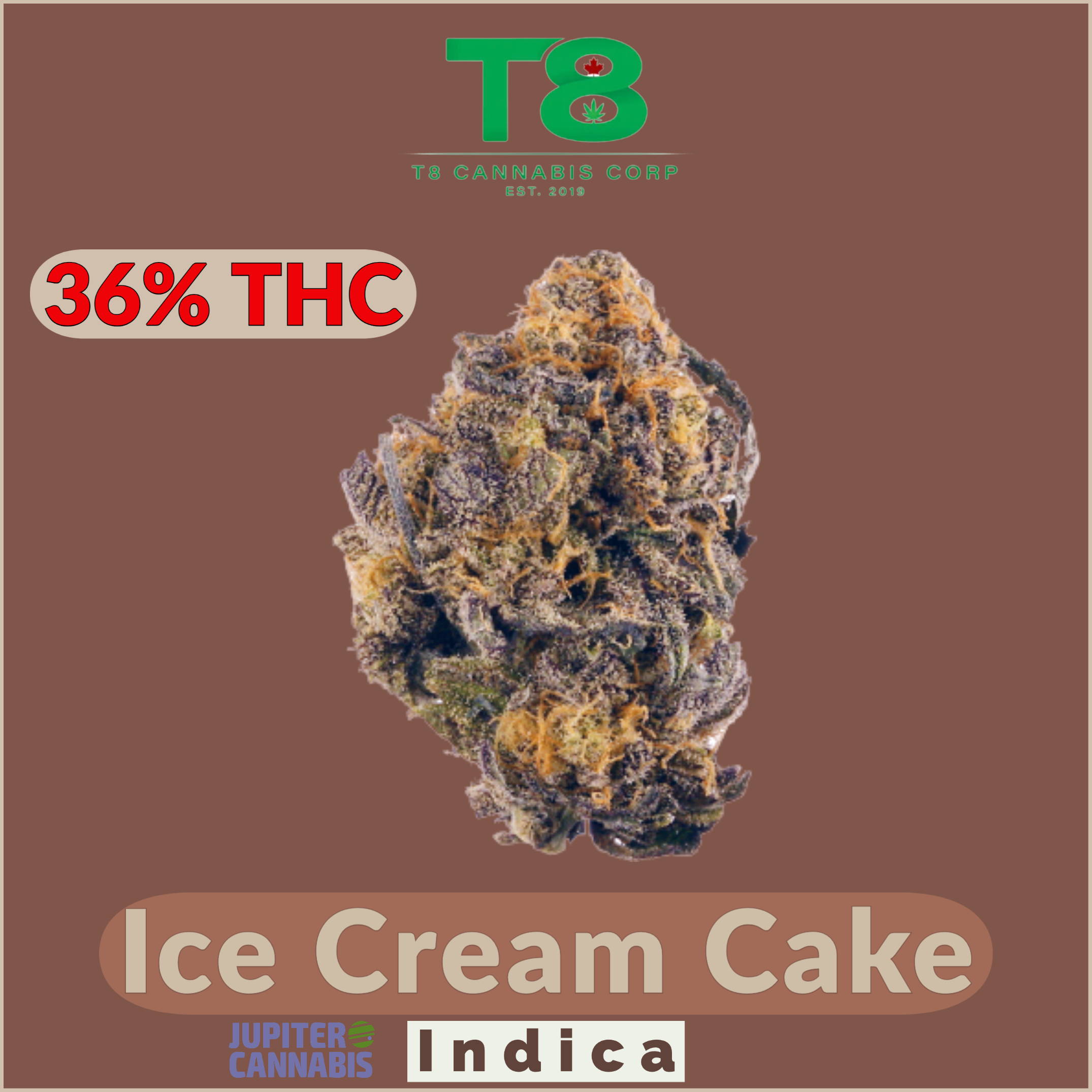 Ice Cream Cake by T8C | Jupiter Cannabis Winnipeg