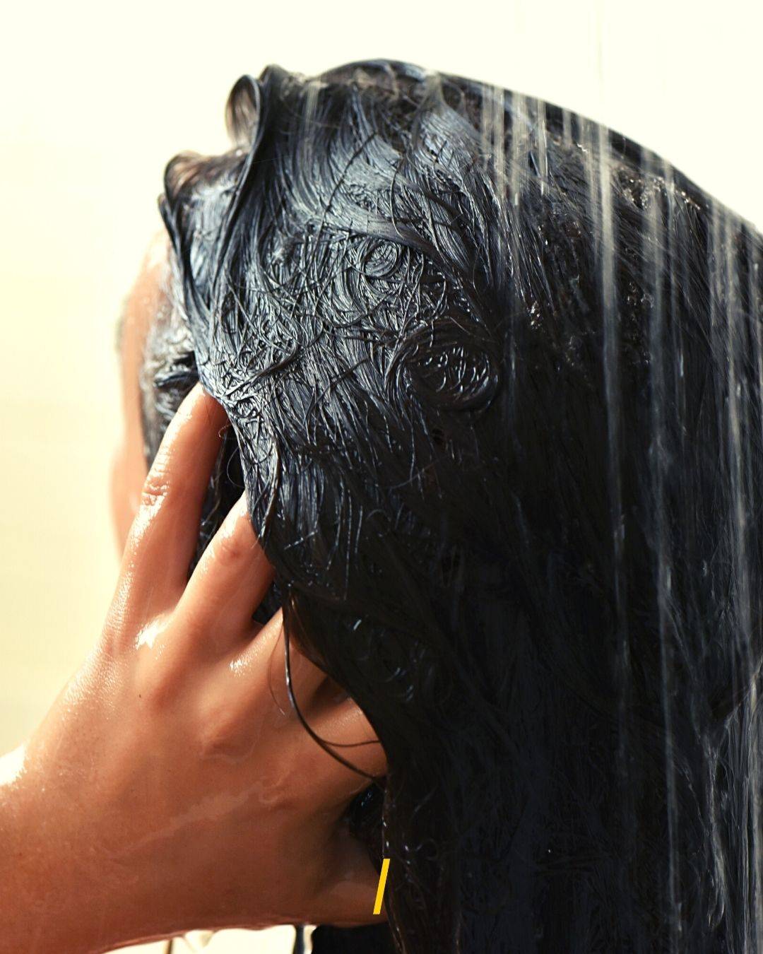 Shampoing solide cheveux bouclés