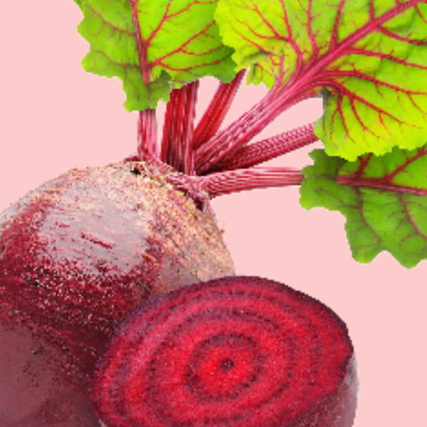 Beet Root