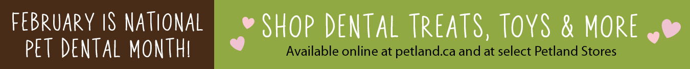 February is National Pet Dental Month. Shop dental treats, toys & more. Available online and at select Petland stores