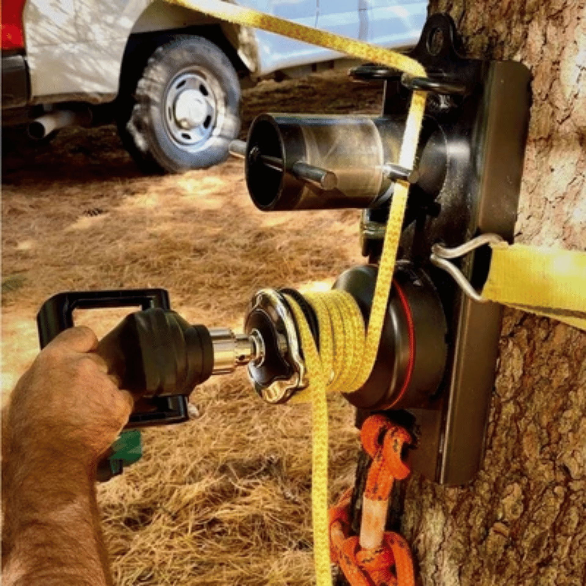 Person using a winch on a tree with straps and equipment.
