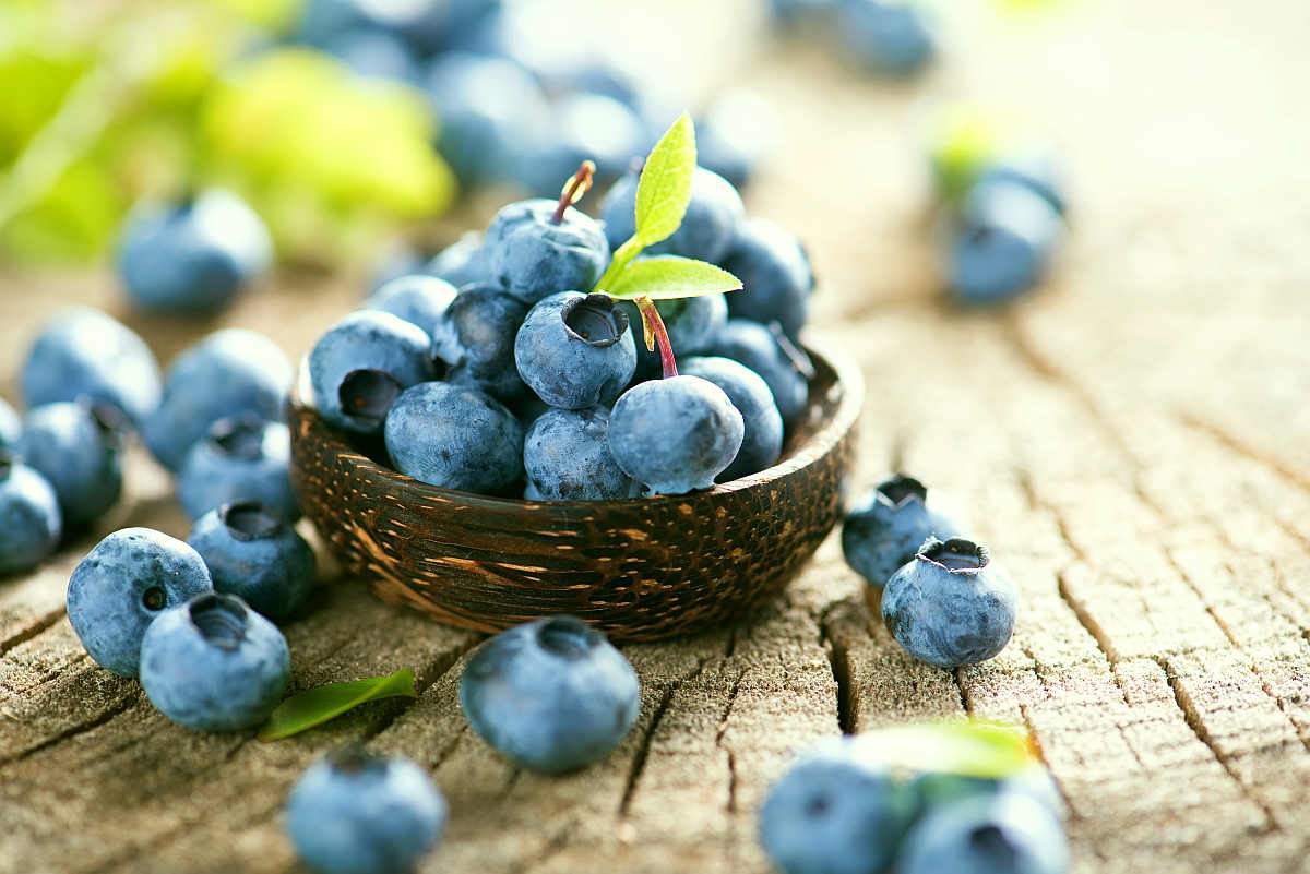 Freshly picked blueberries in wooden bowl | How To Increase Neurogenesis | human brain