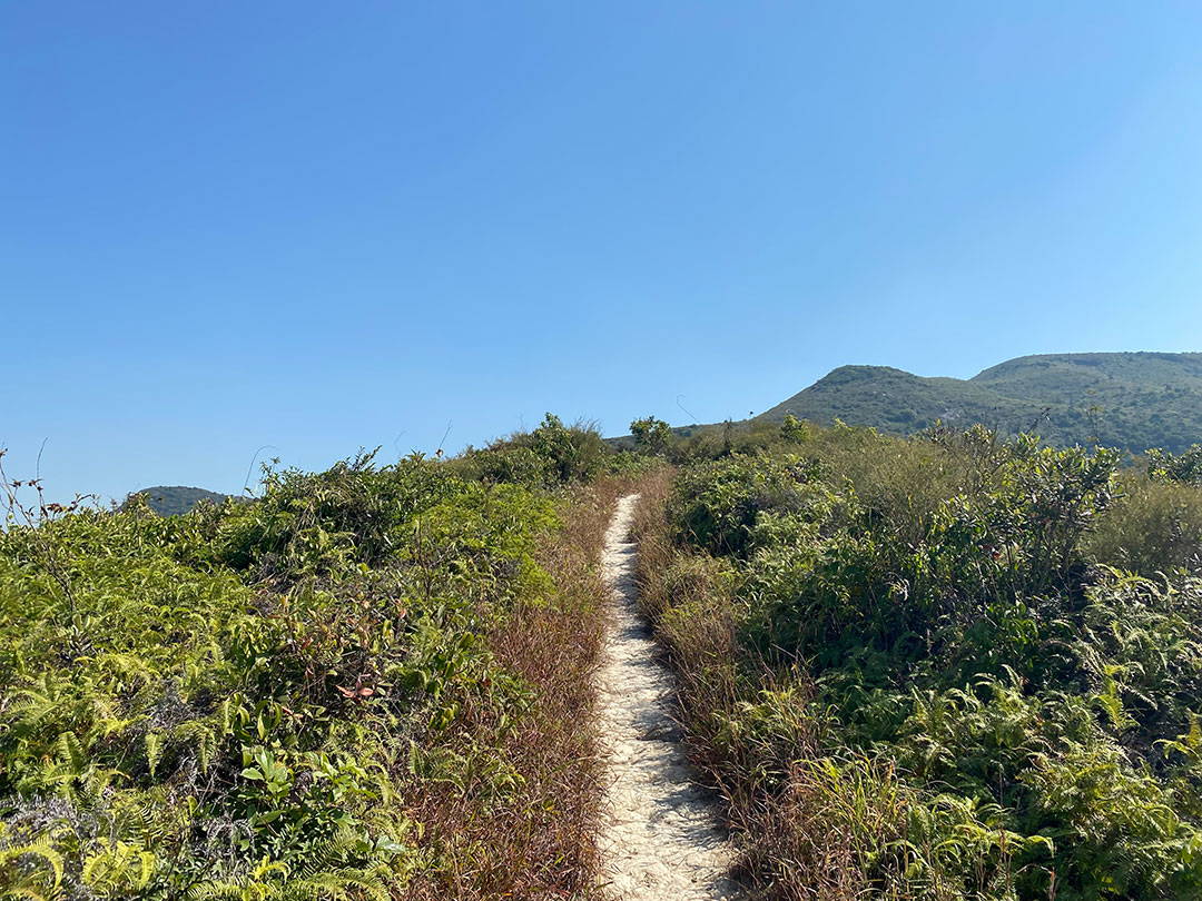 Nga Ying Shan 373m