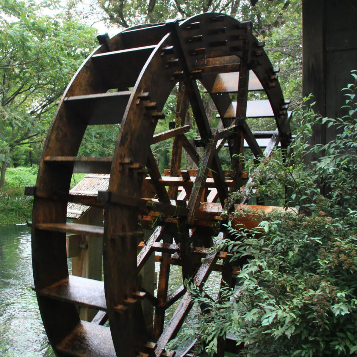 Water wheel surrounded by greenery near a calm water source.