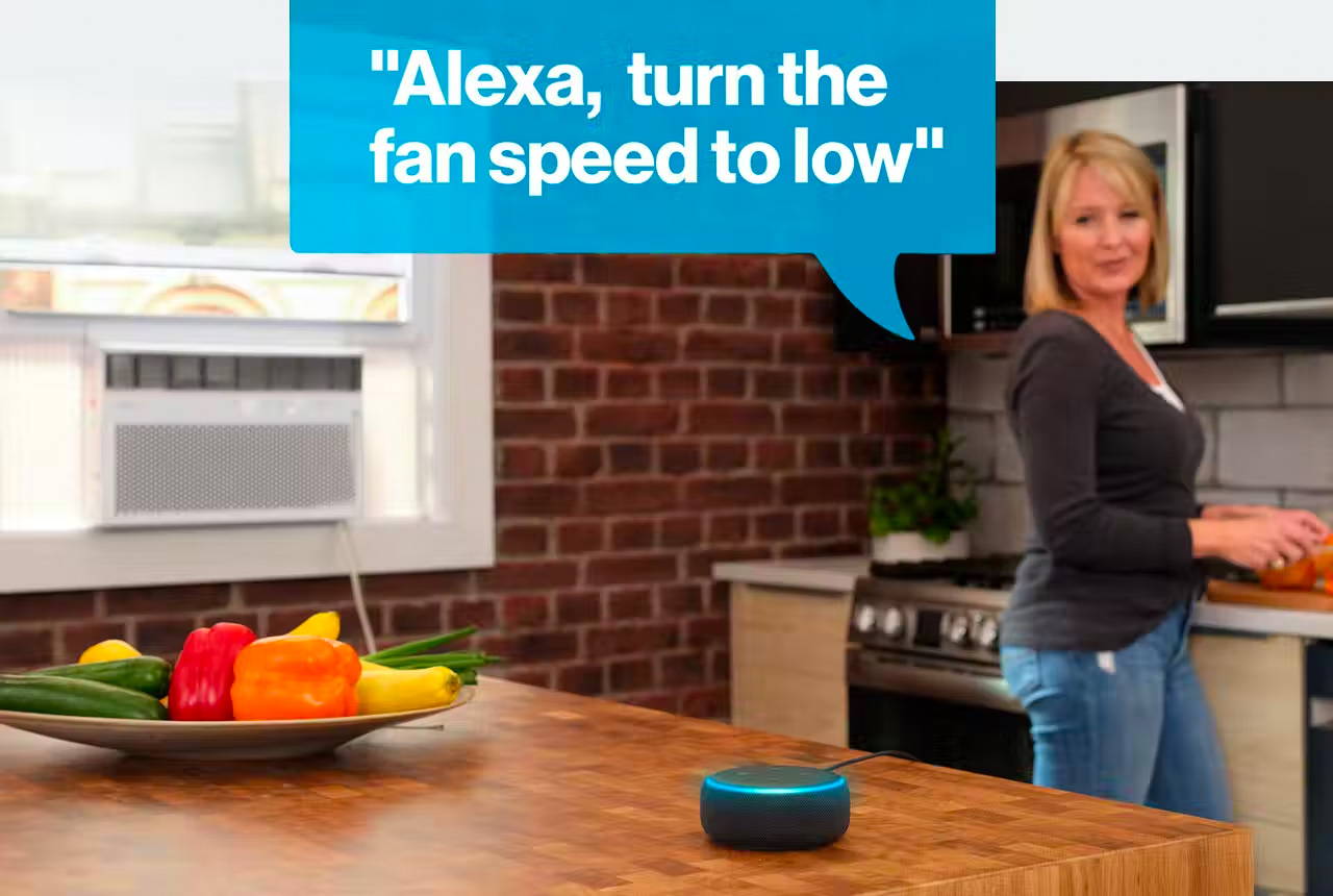 Woman in a kitchen, telling her Amazon Alexa speaker, 