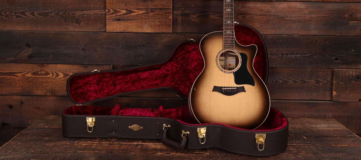 Guitar Case & a Taylor Guitar