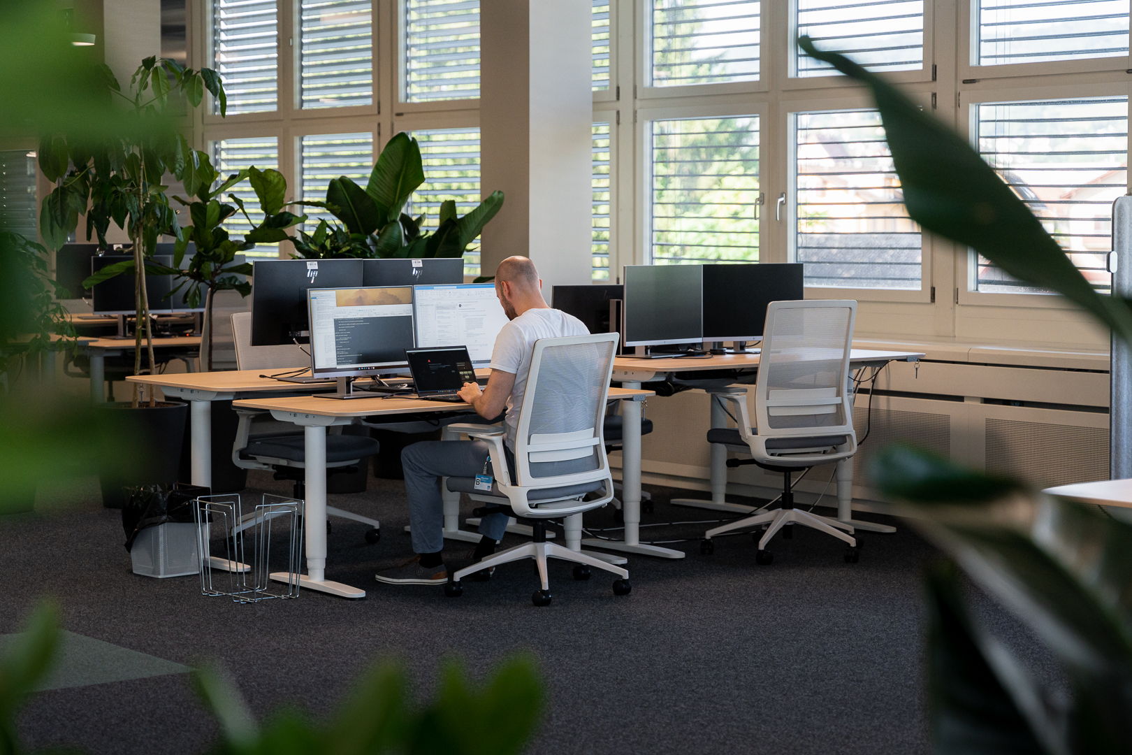 An Enersuisse employee works at a height-adjustable ofinto desk in a green open-plan office