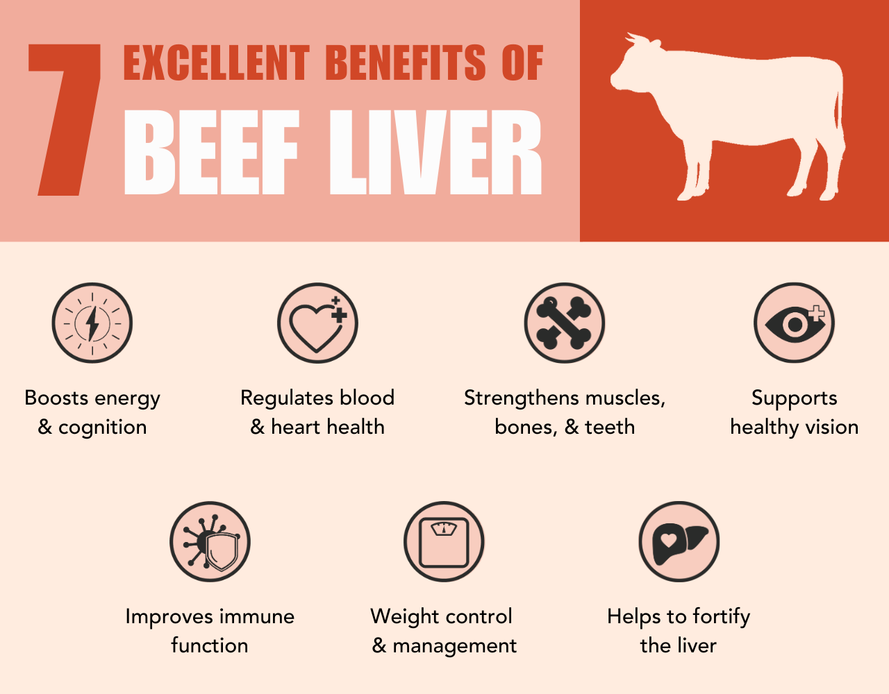 Is beef liver good for dogs? 7 excellent benefits listed with icons.