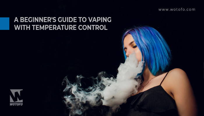 elfbar elfa master akku Vaping with Temperature Control: A Beginner's Guide for 2022