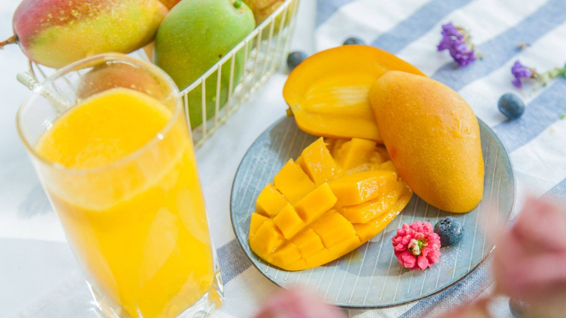 mango is good for dogs