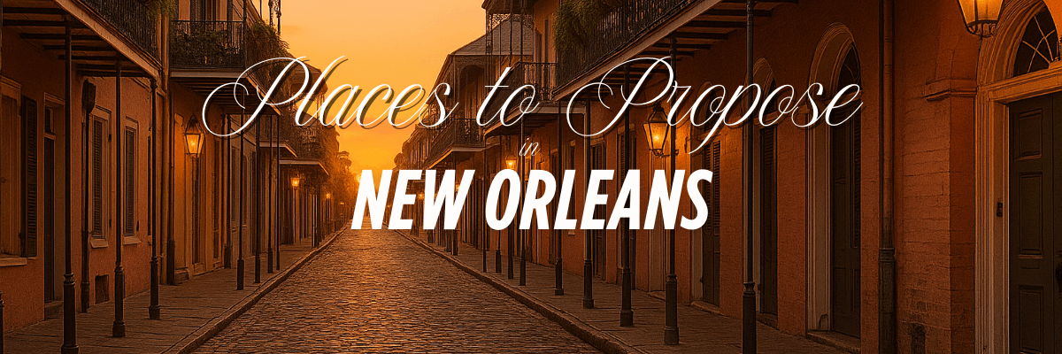 places to propose in new orleans city street view