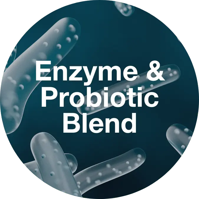 probiotic and enzyme blend