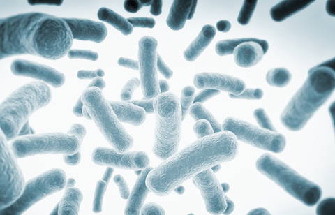 Illustration of gut bacteria