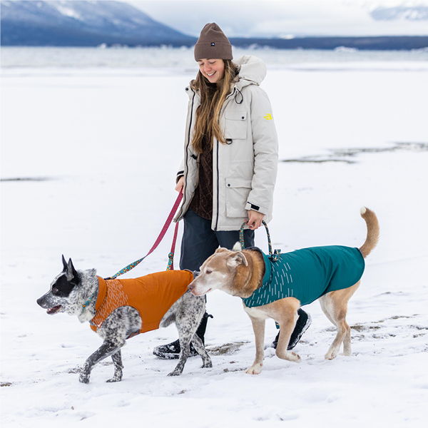 Woman walking two dogs on snow-covered ground.