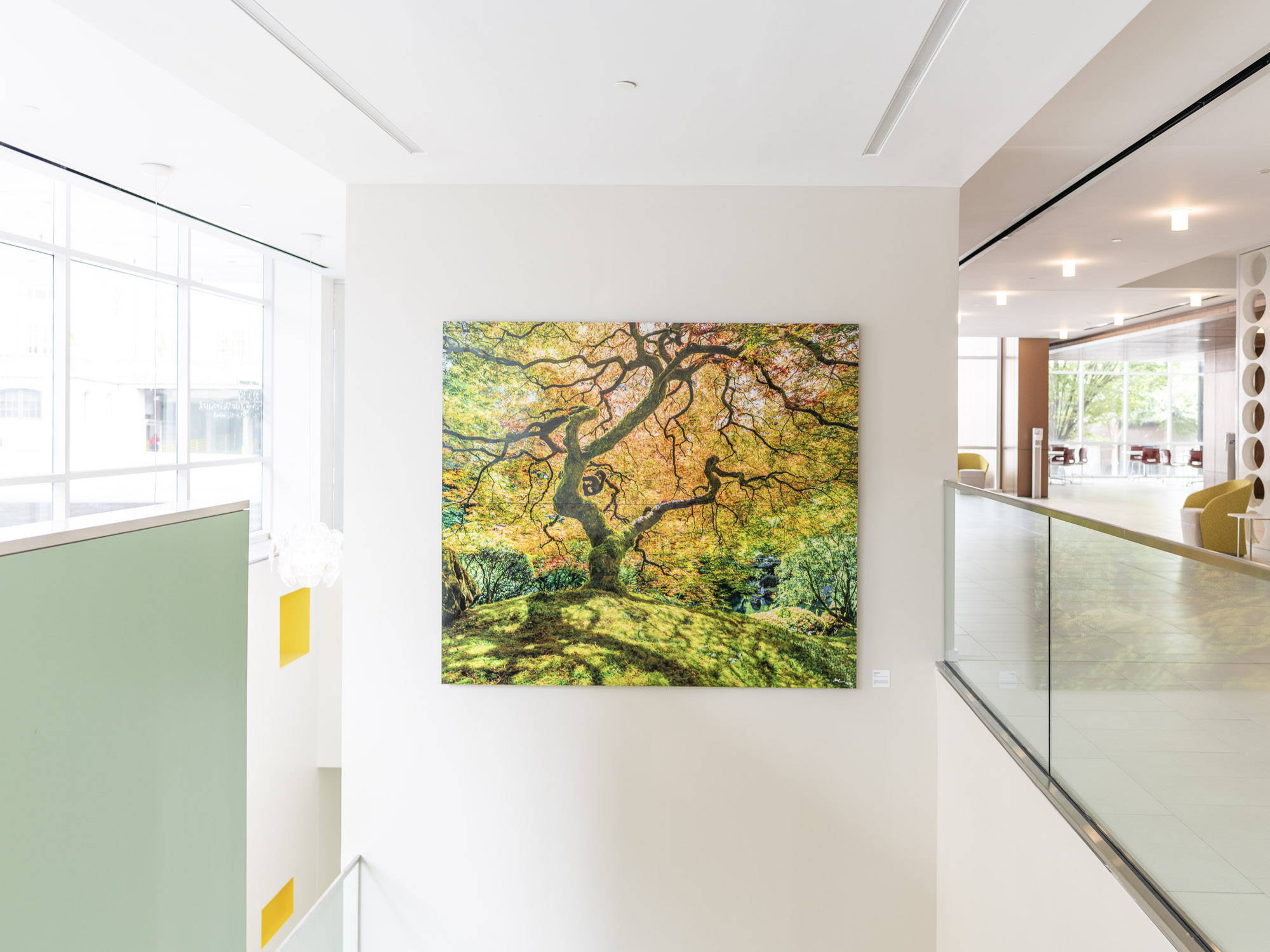 Large format gigapixel photograph in an office
