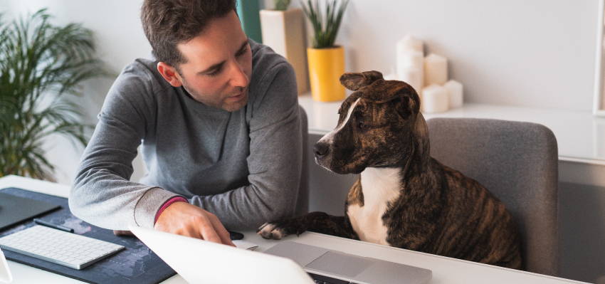 Image of a pet owner talking to his dog.