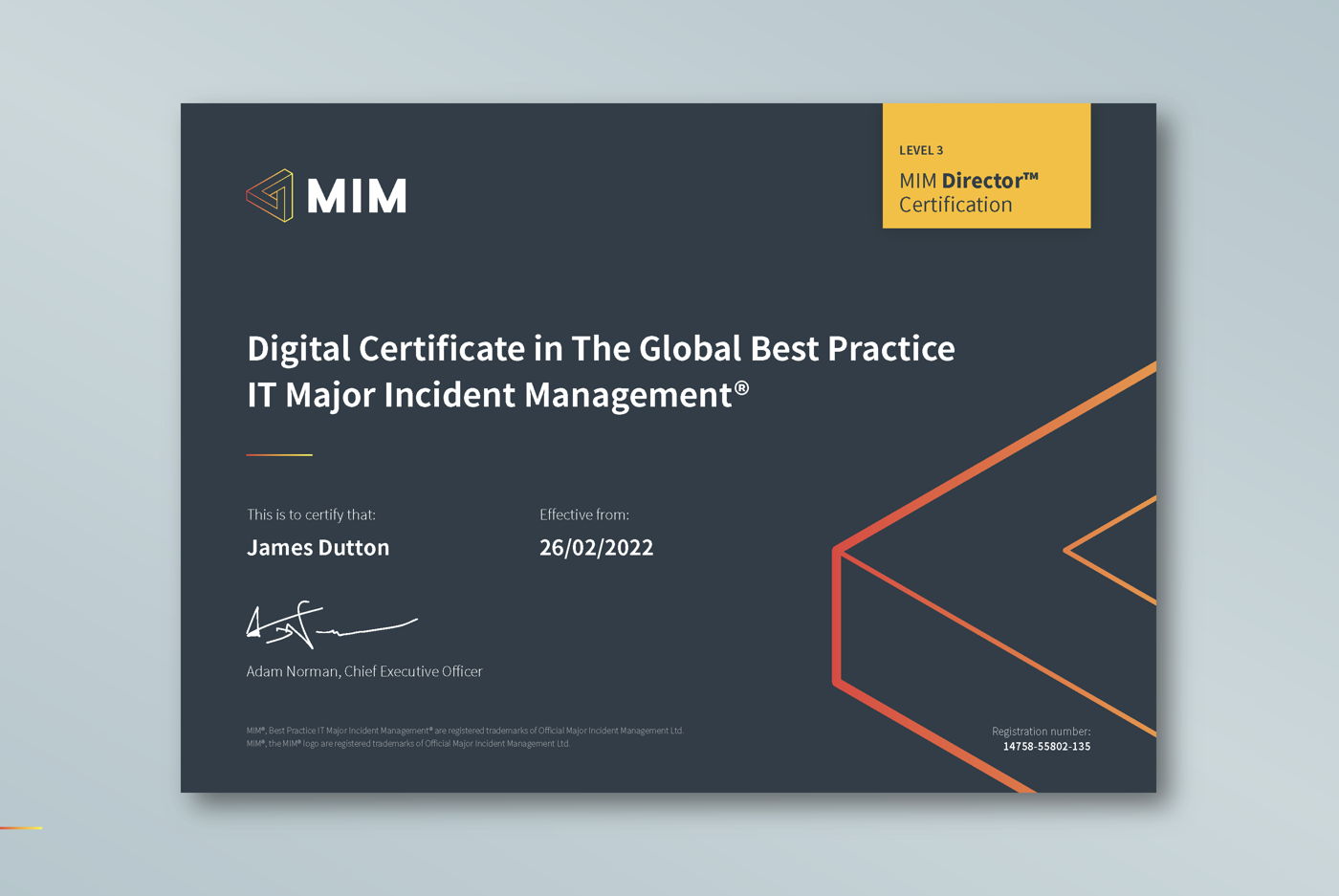 MIM Director sample certificate