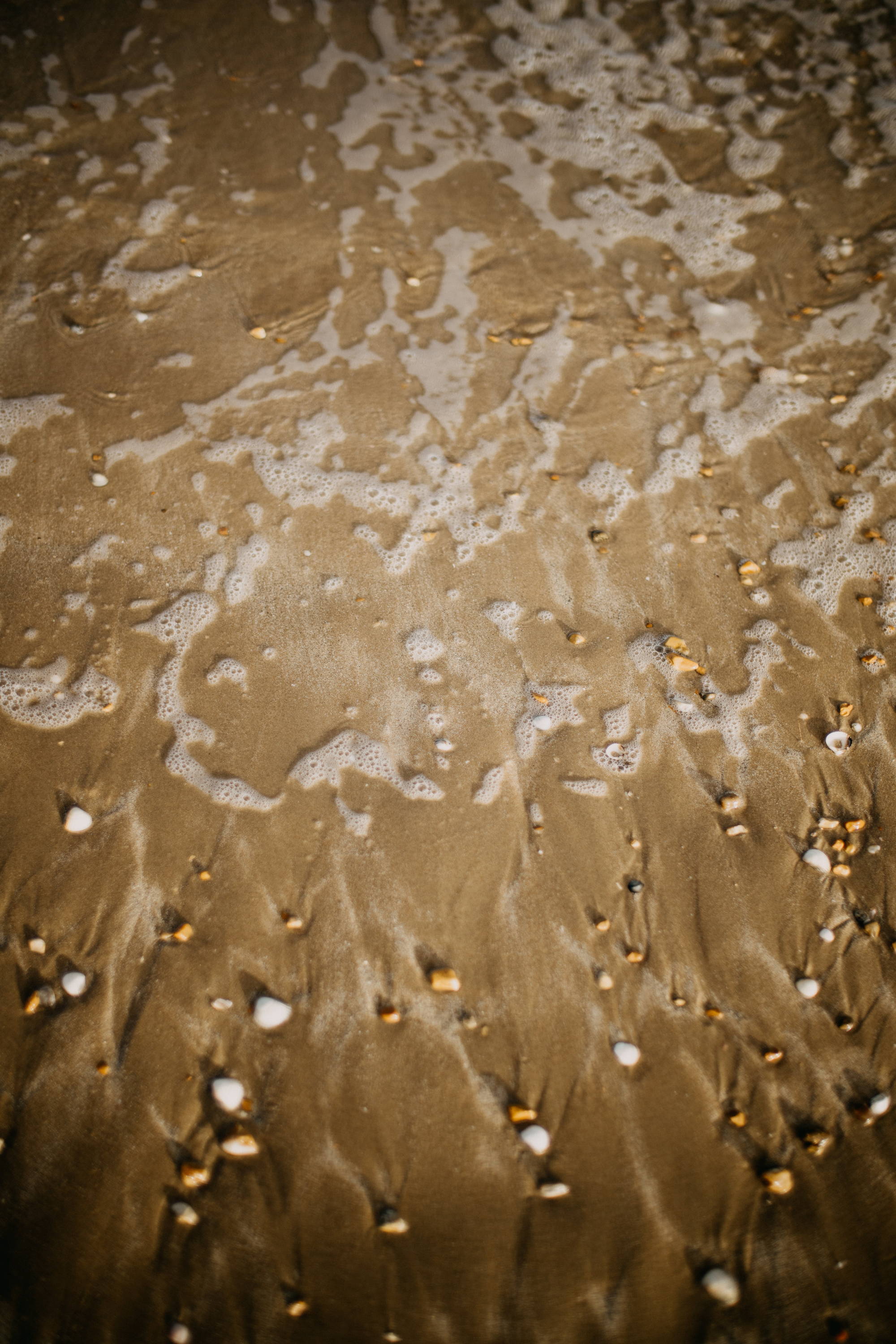 Seafoam on the sand