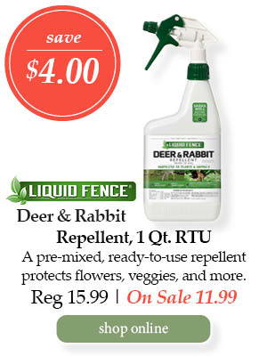 Liquid Fence Deer & Rabbit Repellent, 1-quart ready-to-use - Save $4.00! A pre-mixed, ready-to-use repellent protects flowers, veggies, and more. | Regular price $15.99 - On Sale $11.99 | Shop online