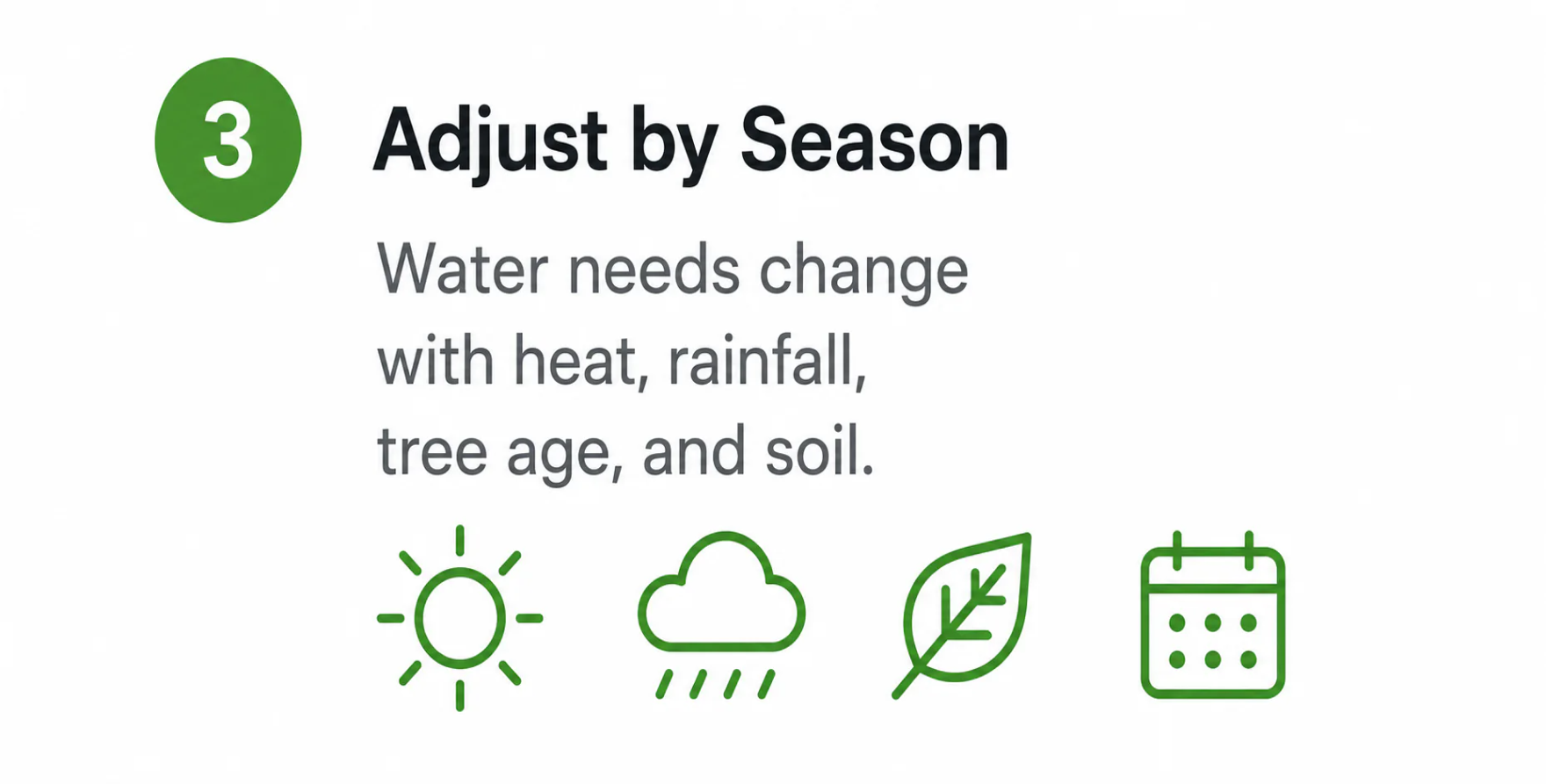 Adjust watering by season: heat, rainfall, tree age, and soil.