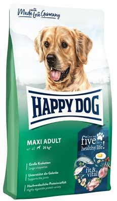 Adult Dry Dog Food