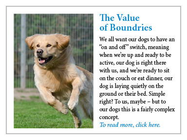 The Value of Boundaries Blog