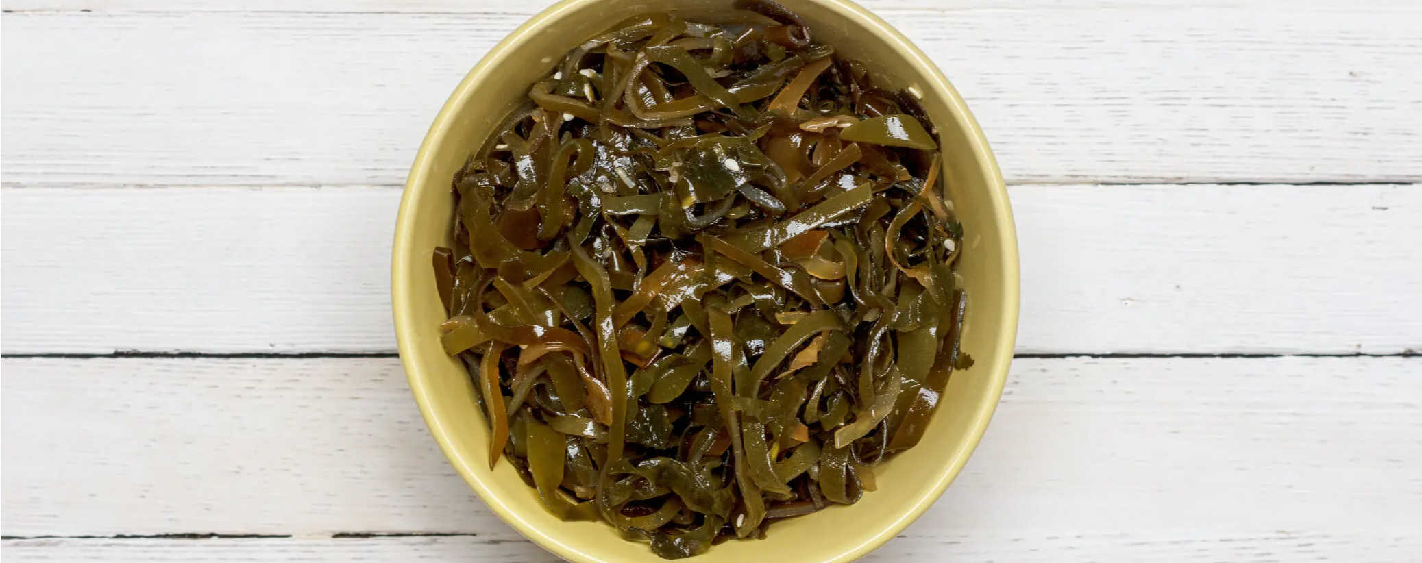 is kelp good for dogs