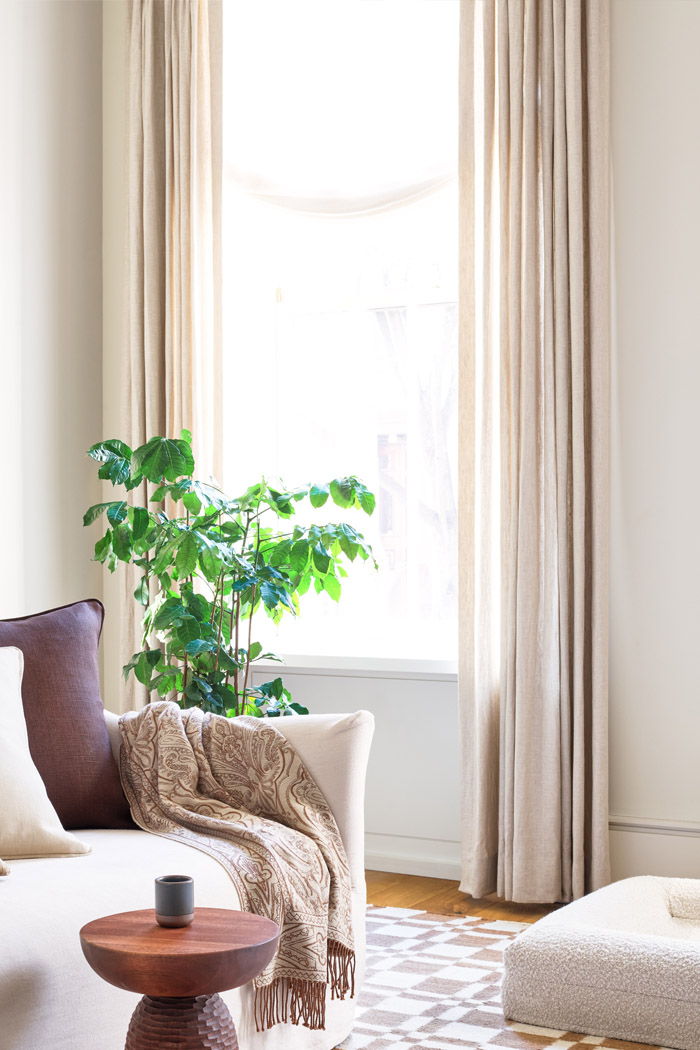 Cozy living room with drapery, curtains, plant, sofa, and decorative table.
