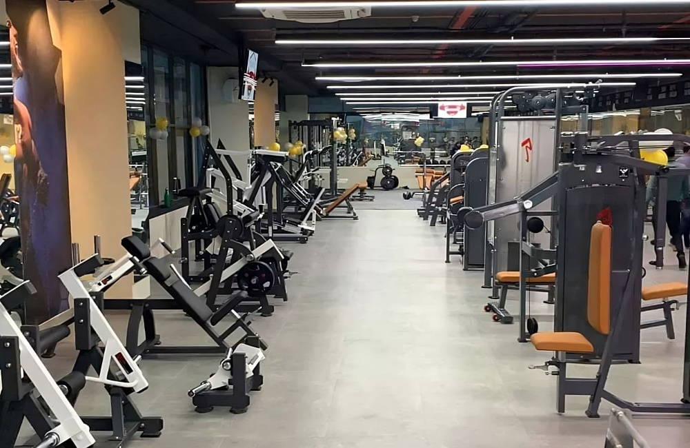 Gym Direct - Commercial Gym Machines