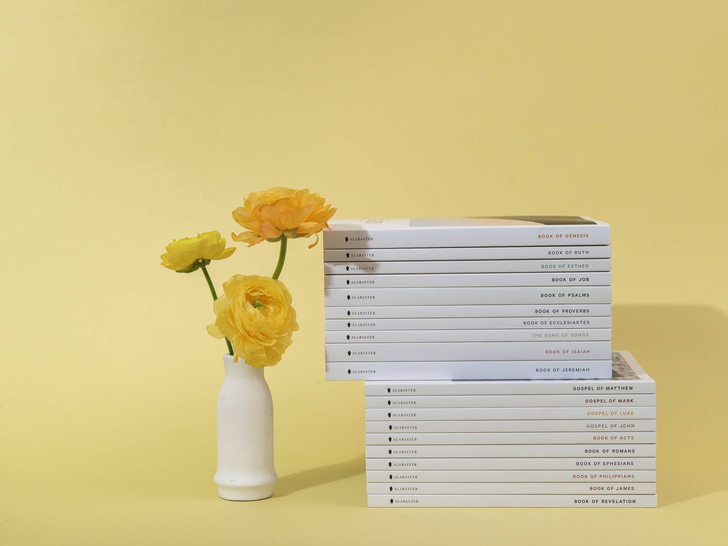 Alabaster Bibles on yellow background with flower