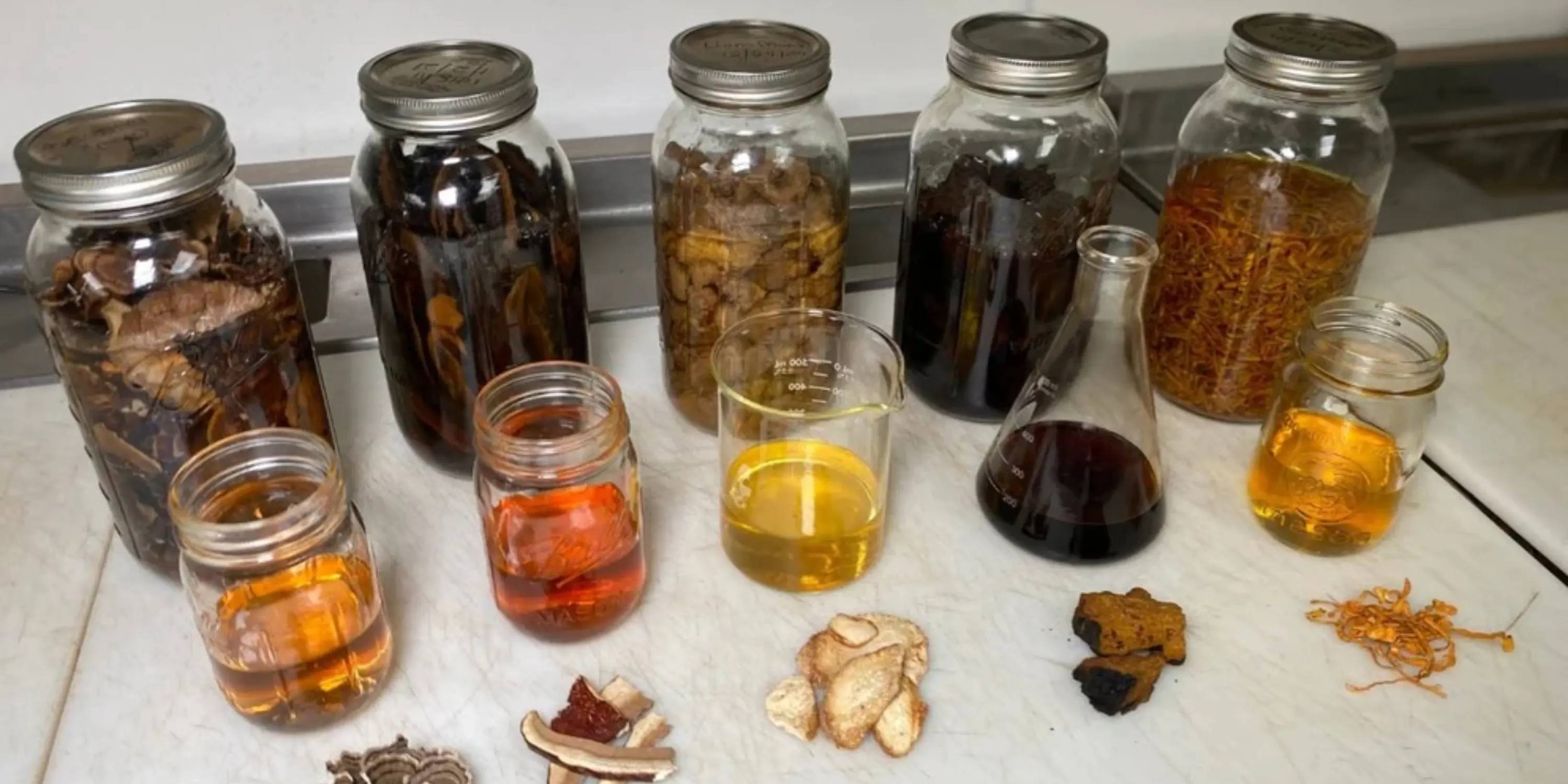 Mushroom alcohol extracts and hot water extracts - chaga, lion's mane, maitake, reishi, turkey tail