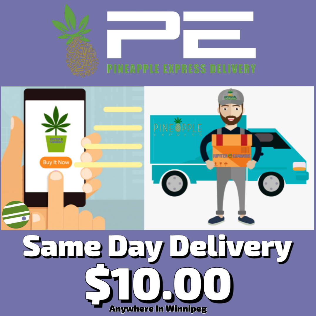 Order cannabis online and it will be delivered the same day in Winnipeg by Pineapple Express for $10.00.