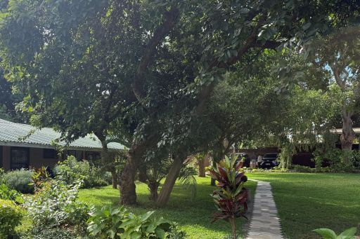 Crafted Africa Guesthouse Garden Path