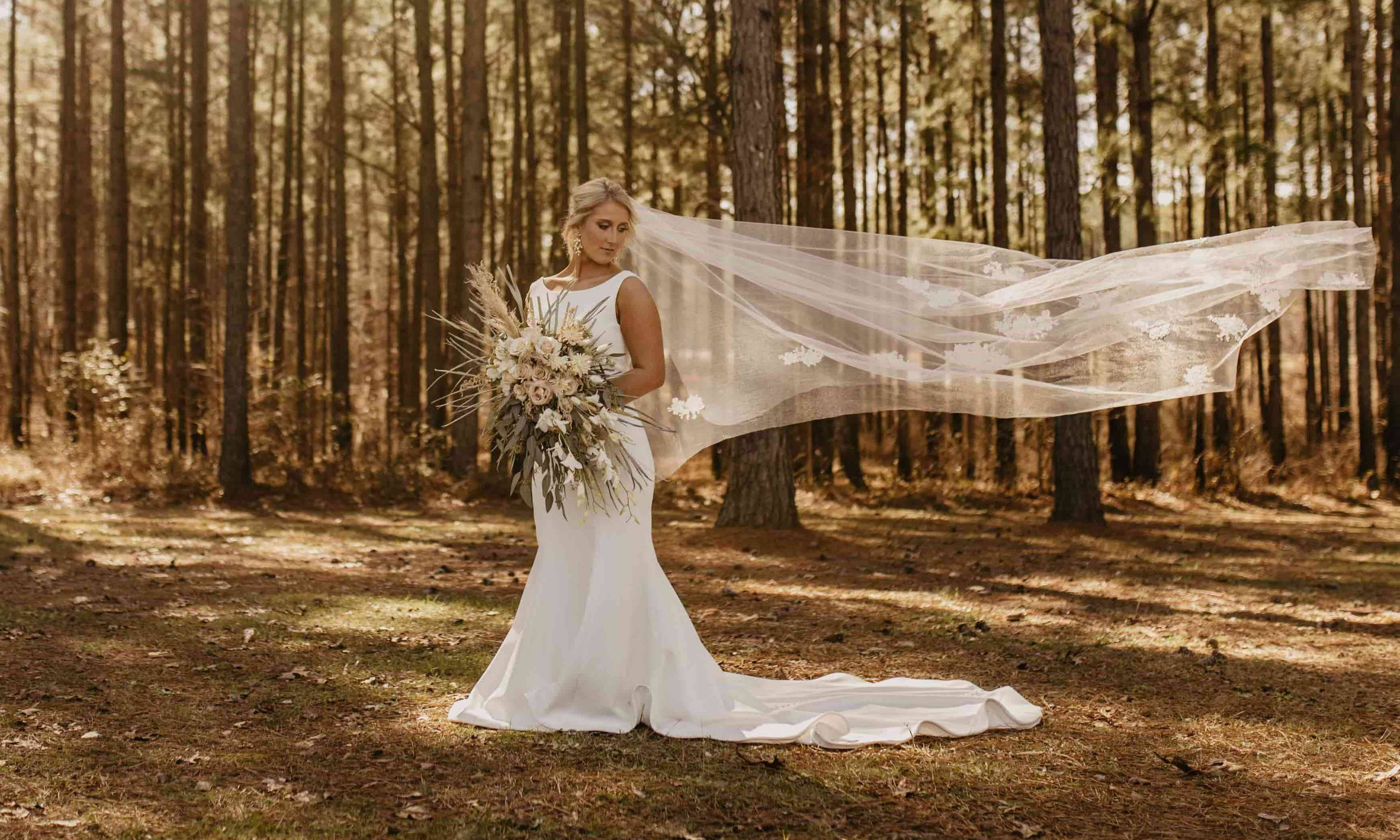 Bride with Veil