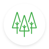 Three green trees inside a circular white background.