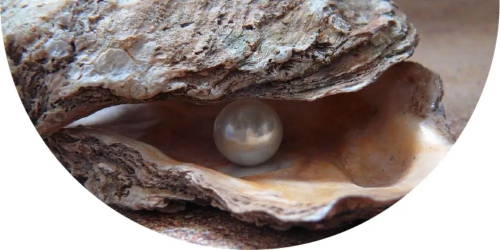 Shop pearls at Bonito Jewelry