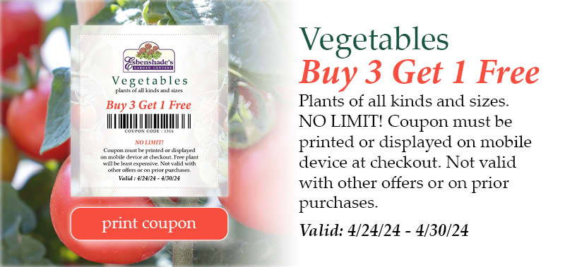Vegetables Coupon - Buy 3 Get 1 Free! Plants of all kinds and sizes. NO LIMIT! Coupon must be printed or displayed on mobile device at checkout. Not valid with other offers or on prior purchases. | Valid: April 24, 2024 through April 30, 2024 | Print coupon