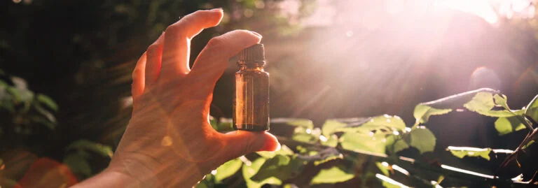 A hand holding a small object with sunlight filtering through leaves.