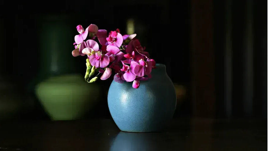 Bright pink flowers in a blue pottery vase
