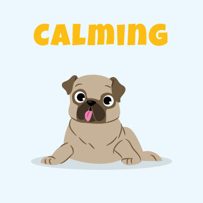 Bailey's Calming CBD Collection Page Button Image