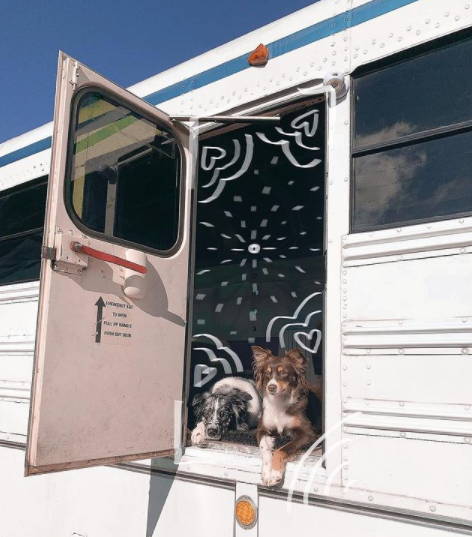 Dogs on a bus enjoying the Second Skin sound deadening