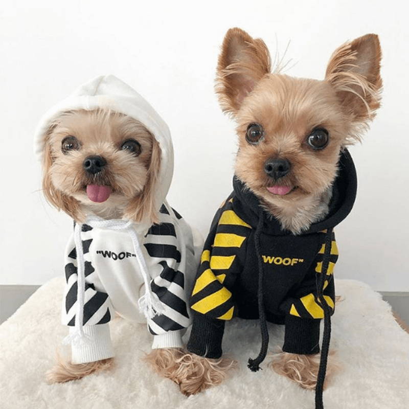 designer dog hoodie