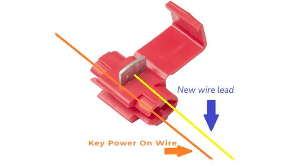 Conductor's Special 2-Gallon - Wiring the Pressure Switch