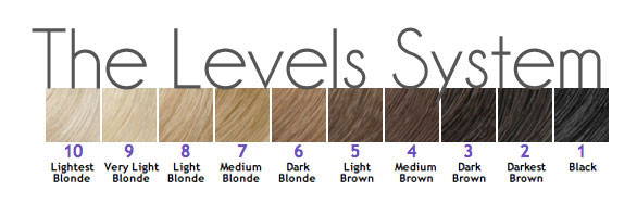 What Color Is My Hair? Color Levels Guide