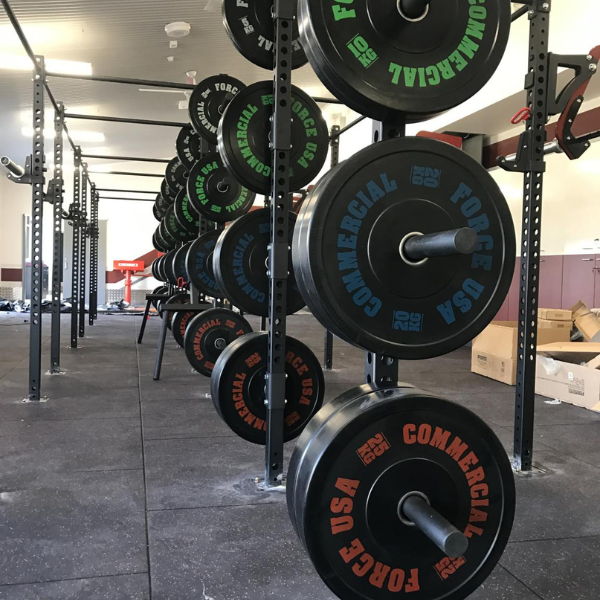 Marsden State High gym fitout