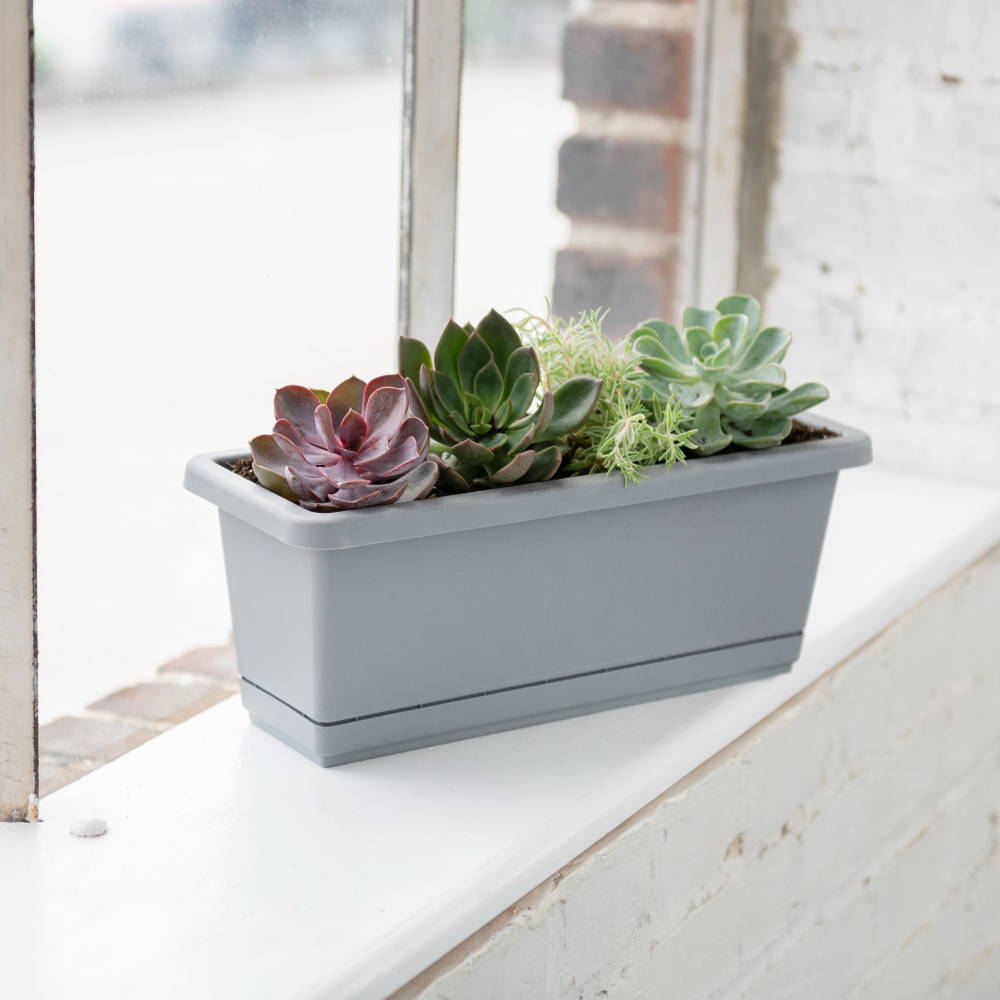 Succulents planted in a gray windowsill planter