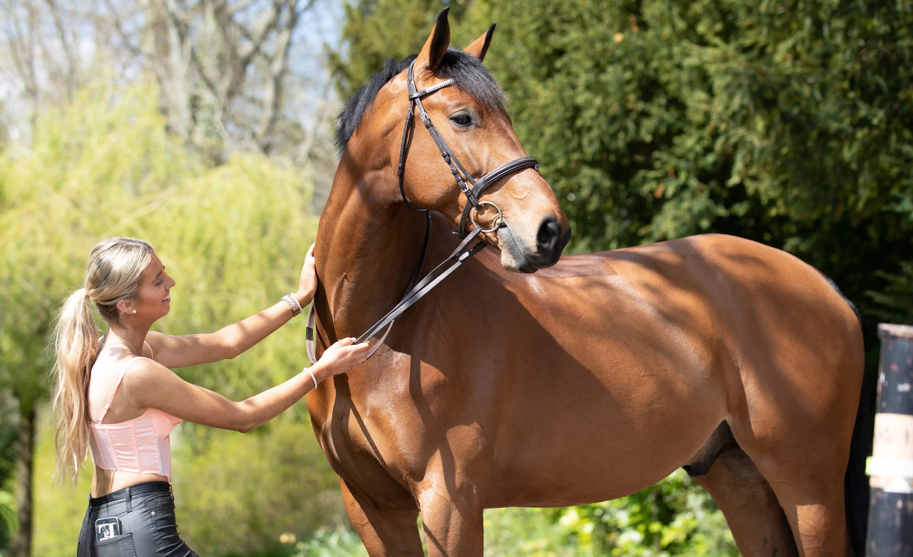 A woman grooming a brown horse in a lush outdoor setting.