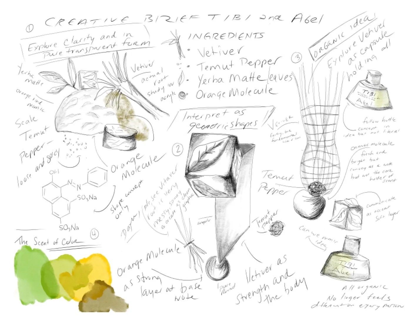 Illustration with sketches and notes on plant biology and structures.