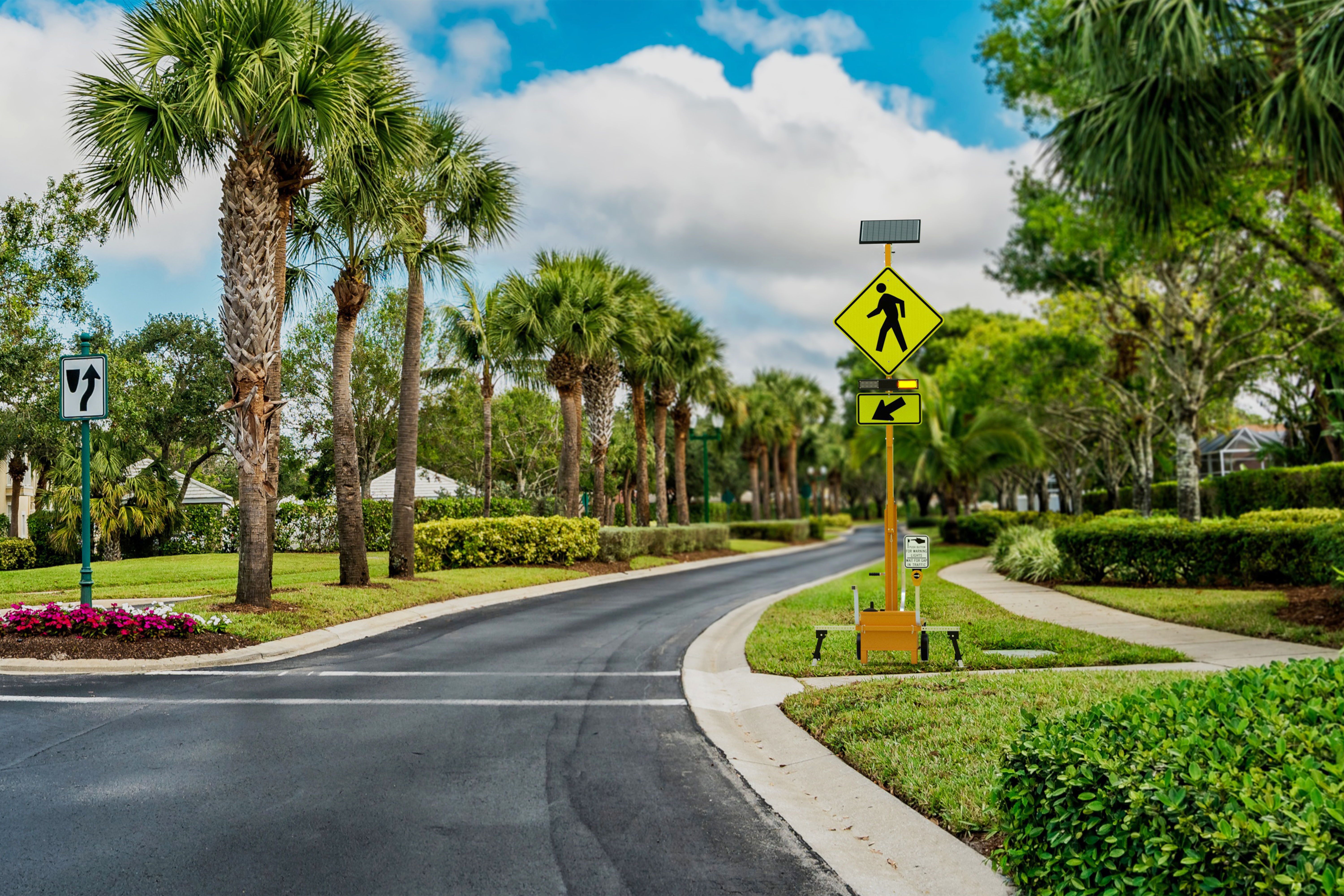 Road with palm trees and pedestrian crossing sign. Blue sky above.