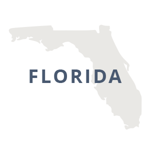 Florida Silhouette